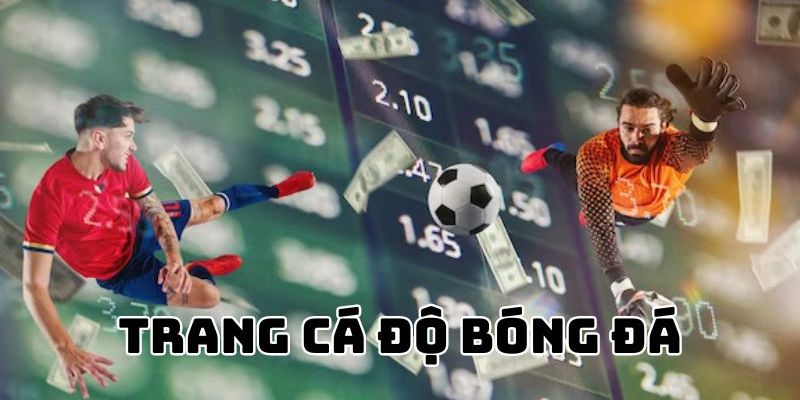 Giới thiệu Giới thiệu chi tiết về Trang Cá Độ Bóng Đá