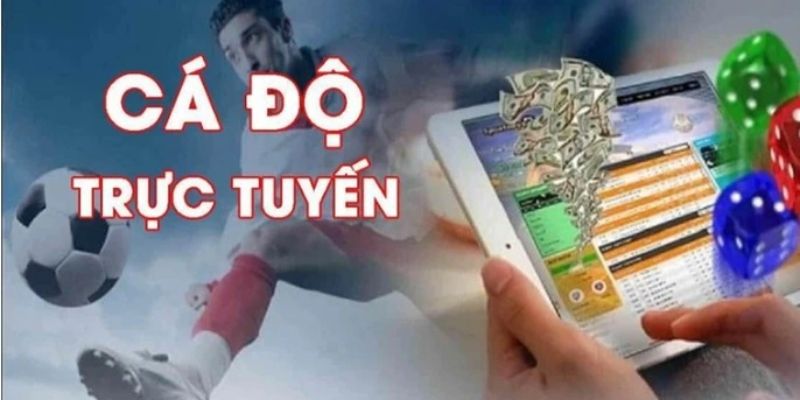 Khám phá cá độ online là gì? Tại sao ngày càng phổ biến?