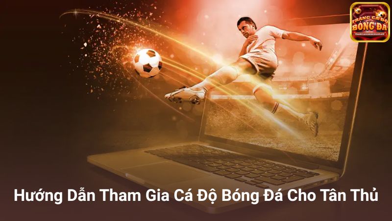 Hướng dẫn nhanh dành cho người mới bắt đầu