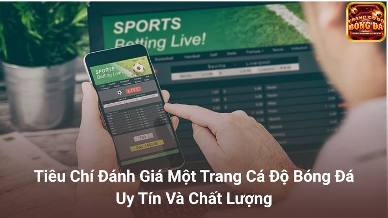 Tiêu chí chọn trang cá độ bóng đá uy tín
