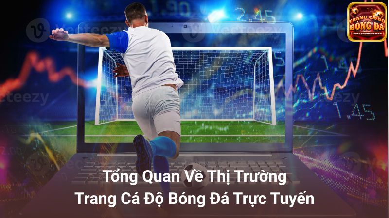 Giới thiệu về trang cá độ bóng đá uy tín